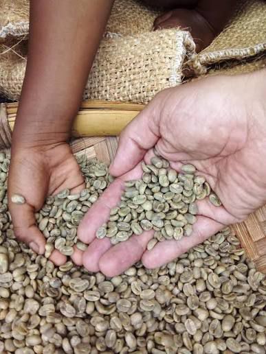 Cafe 509 Grains